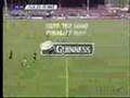 Gloucester rugby collection of tries