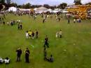 Electric Picnic Ferris Wheel