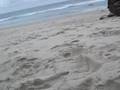 videos de beach photography shooting tips, episode 2