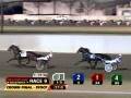 Breeders Crown 3CP