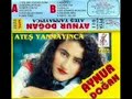 yoluna yoldaş olam aynur doğan