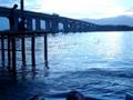 barrigaço na ilha
