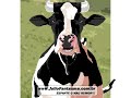 Desabafo de Uma Vaca
