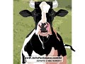 Desabafo de Uma Vaca