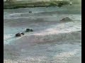 RC Monster Trucks Gozo/Malta RC Monster Trucks Gozo/Malta