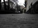 fonal