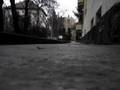 fonal