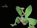 Alebrijes II
