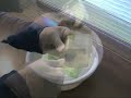 How to booby trap a Box of Detergent!