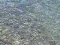 Evdilos, Ikaria
