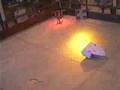 FWSmash 2004 best bits