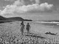 Noosa