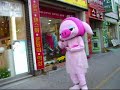 The Symptons of Swine Flu II