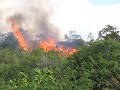 Lava Burns House in Royal Gardens