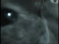 La curiosidad mat� al gato???