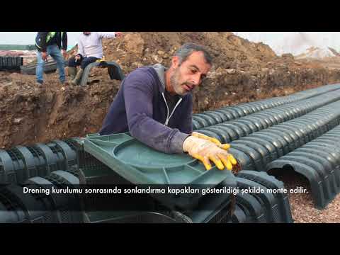 DRENING: Bostanlı Sahil Kordon Boyu, Ladin Peyzaj