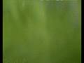 videos de Video editing