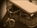 VW-SHOW-LESCE-BLED-S