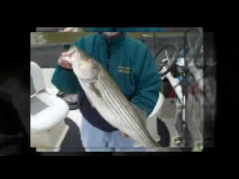 Legendary Lake Texoma Striper Fishing