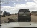 Abusive cop tasers man because he didnt sign a ticket Abusive cop tasers man because he didnt sign a ticket