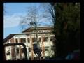 Sirenenprobe in Freiburg / Siren Test in Freiburg (Germany)