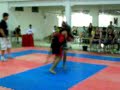 HasseWushu Open