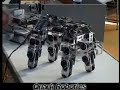 Granja de Micro-robots Granja de Micro-robots