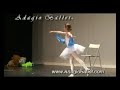 Dance Instruction & Ballet Performance - Adagio Ballet - Fairies