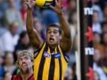 HAWTHORN HAWKS AFL TRIBUTE 2008