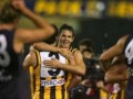 HAWTHORN HAWKS AFL TRIBUTE 2008