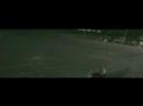 dumb-things-stuipid-people-do.html