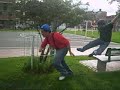 mario bross lc