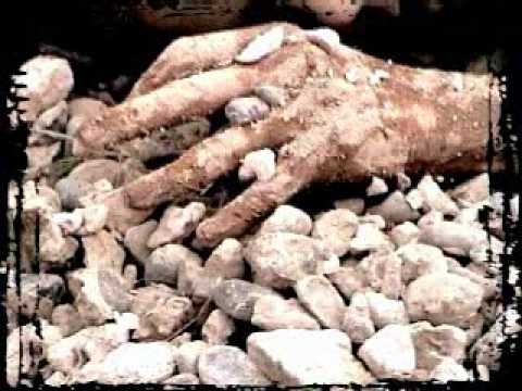 Imagen de previsualización de YouTube