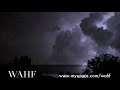 WAHF Intro