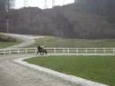 Babe and me-gallop Babe and me-gallop