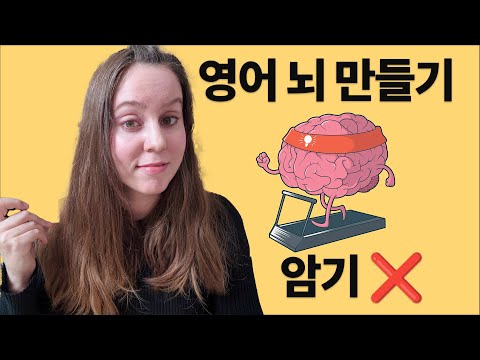 영어 뇌로 바꾸는 공부 습관: 뇌가 영어를 흡수하는 원리