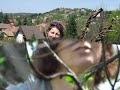 M�ty�s kir�ly (Kutyav�ri t�rt�net-a bajnokok)