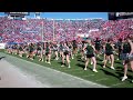 Cheerleading Halftime Performance at the 2012 Gator Bowl