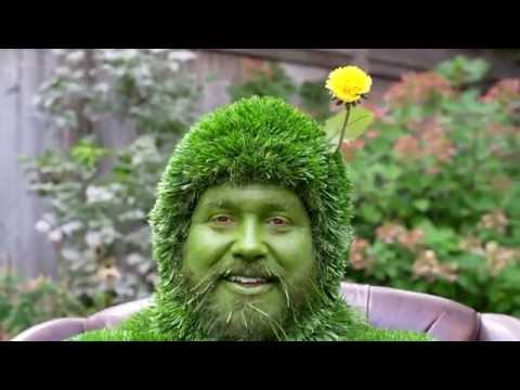 WEED MAN LAWN CARE | Lawn, Tree Maintenance & Eavestrough | Cape Breton