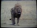 joost video iptv ip tv television venice project