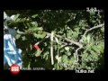 Видеоновость Снять всё 1+1 | С меня хватит | Реалити Шоу Зняти все 28.09.2011 часть 2