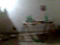 videos de Mago trucho 2