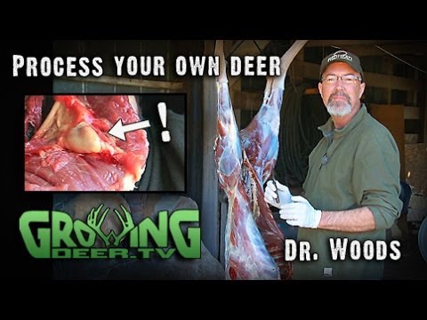 how to properly age deer meat