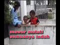 lihat kebun
