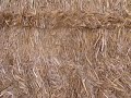 straw bales in the field with oscar peterson and george gershwin