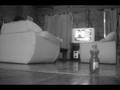 videos de CHEL FANTA COMERCIAL