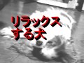 ともえ～TOMOE～