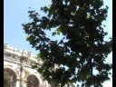 NÎMES COLISEUM NÎMES COLISEUM