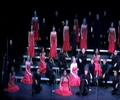 counterpoints-2008-flying-home-fame.html