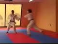 Jiyu Waza